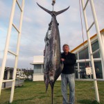120kg Blue Marlin