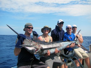 54kg Blue Marlin